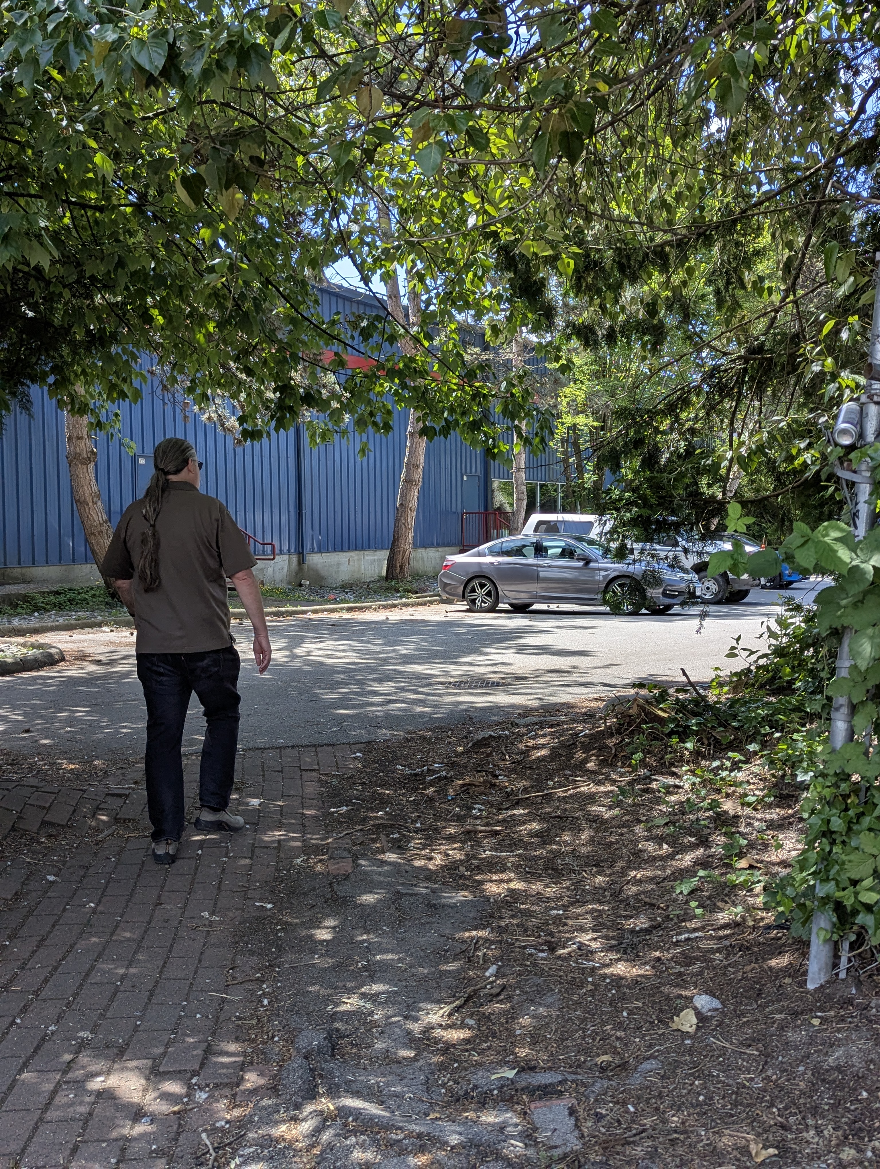 Birthday Trip to Canada, Delta, Burns Bog, Vancouver, British Columbia